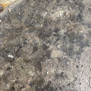 Meet your Posher, Maya